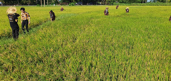 công ty event chuyên nghiệp