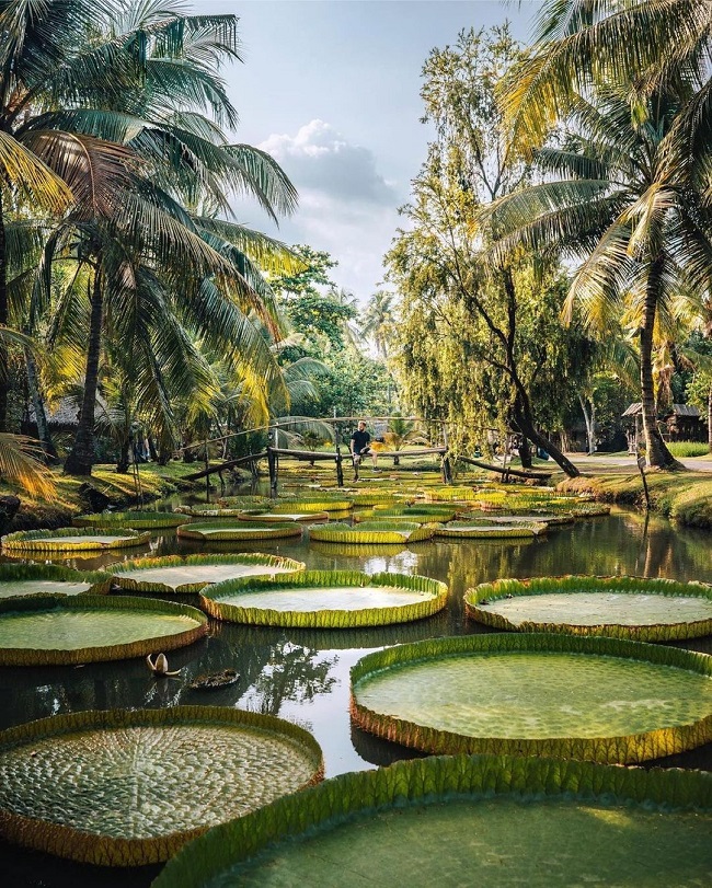 địa điểm tổ chức ngày hội gia đình