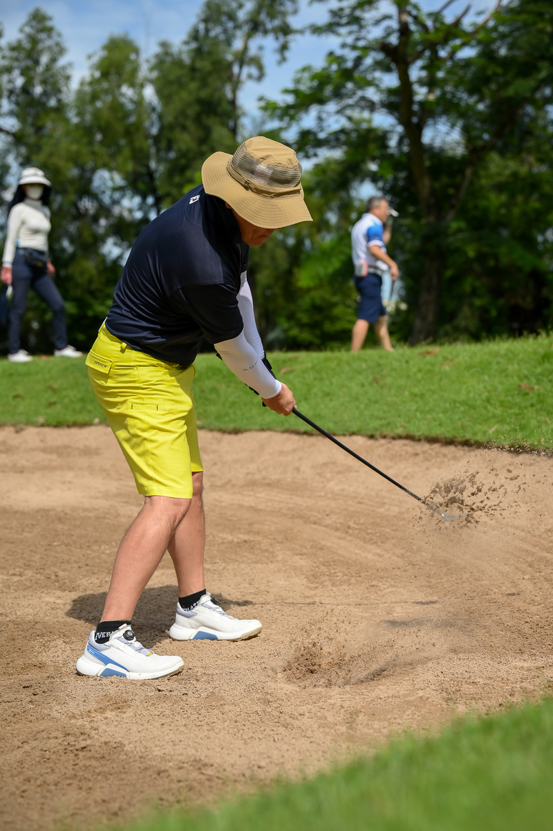tổ chức giải đấu golf